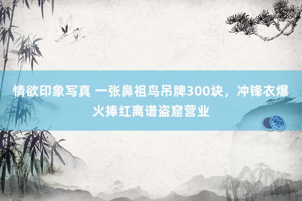 情欲印象写真 一张鼻祖鸟吊牌300块，冲锋衣爆火捧红离谱盗窟营业