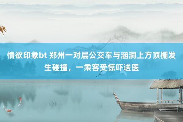 情欲印象bt 郑州一对层公交车与涵洞上方顶棚发生碰撞，一乘客受惊吓送医