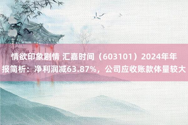 情欲印象剧情 汇嘉时间（603101）2024年年报简析：净利润减63.87%，公司应收账款体量较大