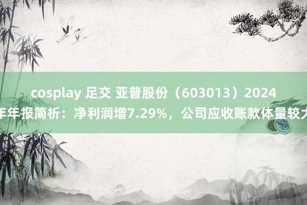 cosplay 足交 亚普股份（603013）2024年年报简析：净利润增7.29%，公司应收账款体量较大