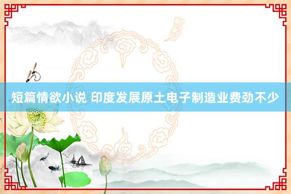 短篇情欲小说 印度发展原土电子制造业费劲不少