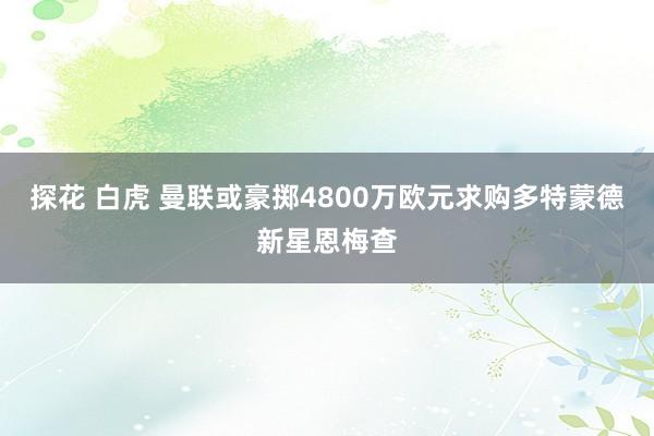 探花 白虎 曼联或豪掷4800万欧元求购多特蒙德新星恩梅查