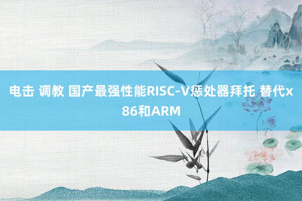 电击 调教 国产最强性能RISC-V惩处器拜托 替代x86和ARM