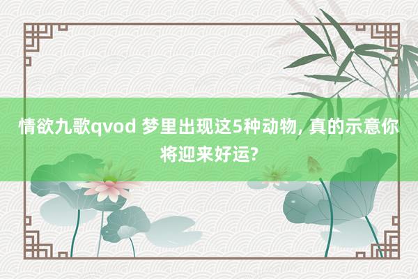 情欲九歌qvod 梦里出现这5种动物， 真的示意你将迎来好运?