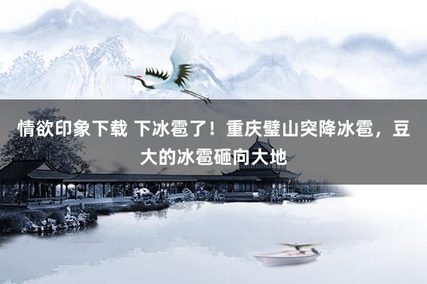 情欲印象下载 下冰雹了！重庆璧山突降冰雹，豆大的冰雹砸向大地