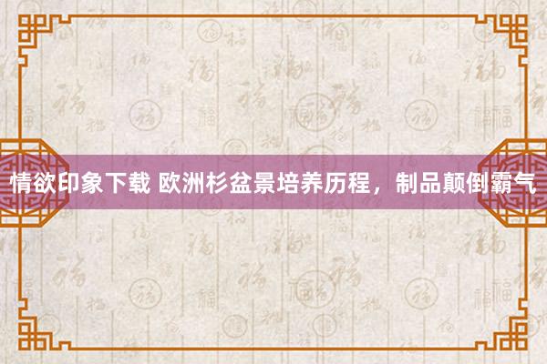 情欲印象下载 欧洲杉盆景培养历程，制品颠倒霸气