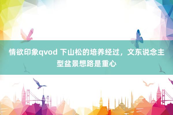 情欲印象qvod 下山松的培养经过，文东说念主型盆景想路是重心