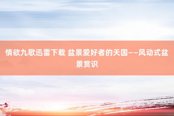 情欲九歌迅雷下载 盆景爱好者的天国——风动式盆景赏识