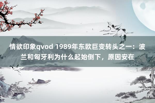 情欲印象qvod 1989年东欧巨变转头之一：波兰和匈牙利为什么起始倒下，原因安在