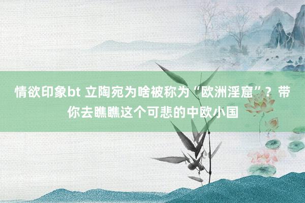情欲印象bt 立陶宛为啥被称为“欧洲淫窟”？带你去瞧瞧这个可悲的中欧小国