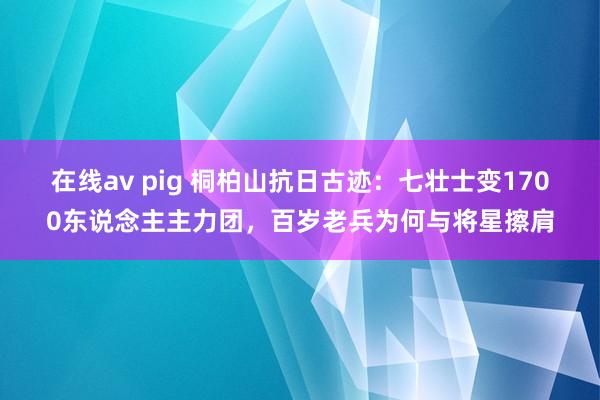 在线av pig 桐柏山抗日古迹：七壮士变1700东说念主主力团，百岁老兵为何与将星擦肩