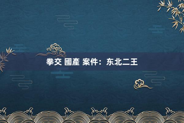 拳交 國產 案件：东北二王