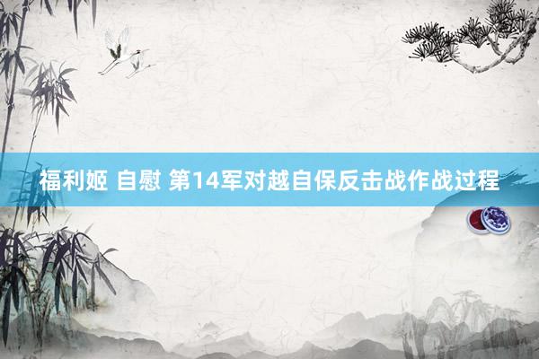 福利姬 自慰 第14军对越自保反击战作战过程