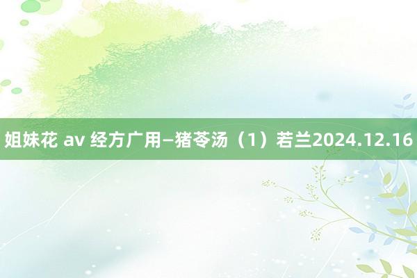 姐妹花 av 经方广用—猪苓汤（1）若兰2024.12.16