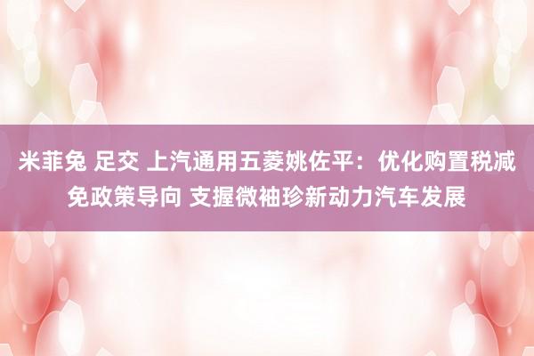 米菲兔 足交 上汽通用五菱姚佐平：优化购置税减免政策导向 支握微袖珍新动力汽车发展