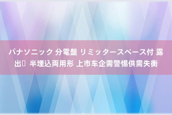パナソニック 分電盤 リミッタースペース付 露出・半埋込両用形 上市车企需警惕供需失衡