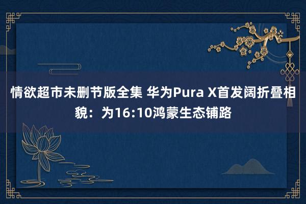 情欲超市未删节版全集 华为Pura X首发阔折叠相貌：为16:10鸿蒙生态铺路