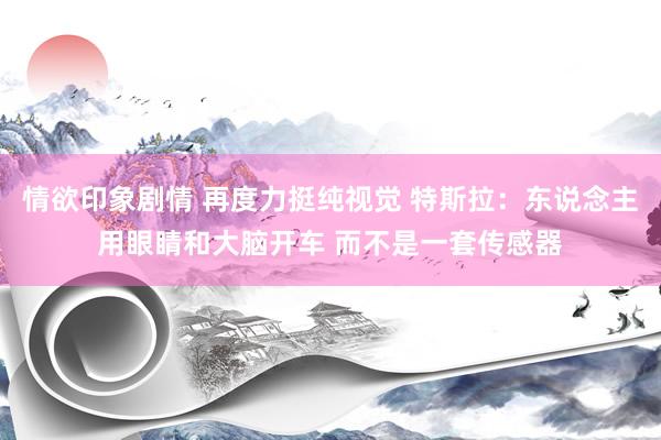 情欲印象剧情 再度力挺纯视觉 特斯拉：东说念主用眼睛和大脑开车 而不是一套传感器