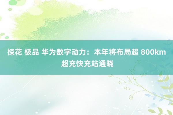 探花 极品 华为数字动力：本年将布局超 800km 超充快充站通晓